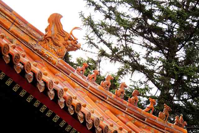 紫薇斗数里的大命冲本命，是祸是福，还得看你怎么接-第3张图片-慢点富算命网